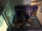 Гроты аквариумные различных размеров объявление продам