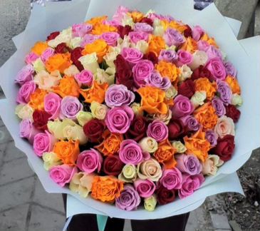 Розы, цветы, 31роза,51роза, 101роза