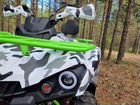Квадроцикл promax forest hunter 300 объявление продам