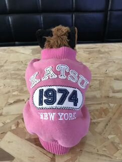 Одежда для собак