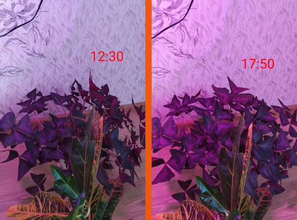 Фитолампы Led: - 200w; 260w; 290w; 500w