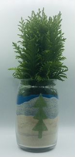 Флорариум Новогодний Кипарис