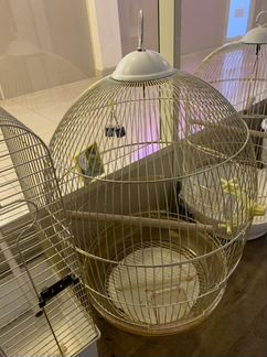Клетка для птиц