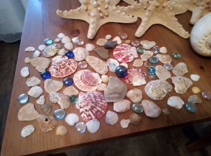 Ракушки для аквариума